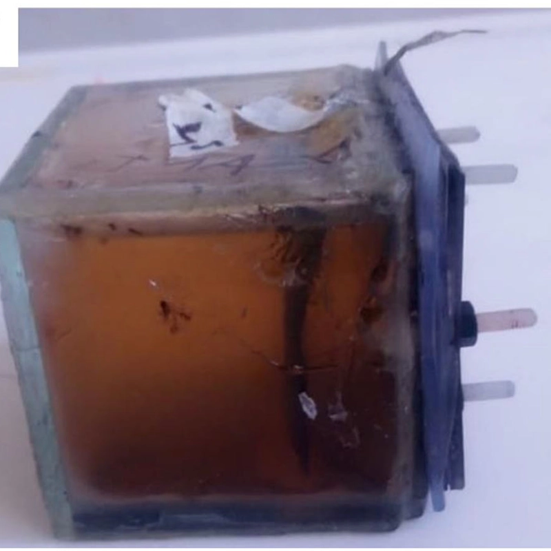 Devilfish bone char, an alternative material to be used as bioanode in microbial fuel cells